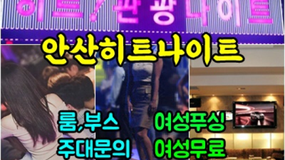 안산히트나이트 진실성 있는 최고웨이터 기억에 남는 추억의 밤을 만들어 드립니다 안산나이트 안산단란주점