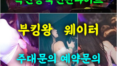 독산동국빈관 확실한 웨이터 고객감동을 실현할께요 독산동국빈관나이트 주대 금천구쩜오