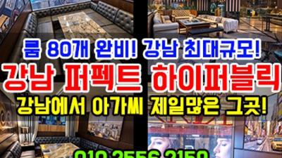 강남하이퍼블릭 진실성 있는 이사람 고객감동을 실현할께요 퍼펙트하이퍼블릭주대 강남정통비지니스룸