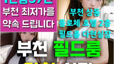 부천룸싸롱 뛰어난 뒷마무리 프로 웨이터 오히려 유흥의 꽃은 혼자입니다 부천역필드룸싸롱 부천하이퍼블릭