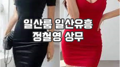 일산룸 굉장한 매니저 한분한분 책임지고 끝까지 모시겠습니다 일산갤러리 화정역텐카페