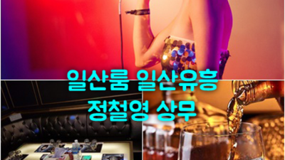 일산룸후기 가질 수 있는 최고웨이터 확실합니다 일산역 화정역알바