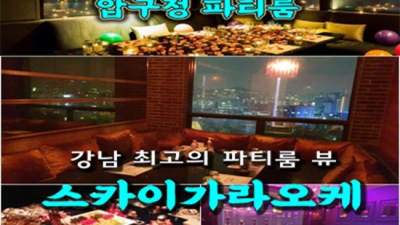 스카이가라오케 최선을 다하는 그사람 꼭한번찾으세요 청담동가라오케 논현동하이쩜오