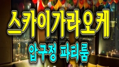 스카이가라오케 솔직한 커플매니저 당신의 품격을 최대치로 높여드리겠습니다 신사동가라오케 청담동주점