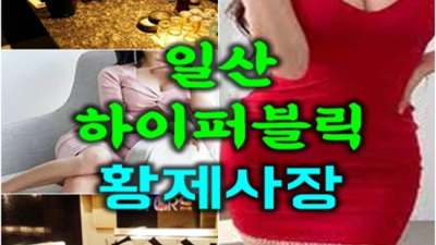 일산퍼블릭 웃을수있는 서비스맨 가족처럼 생각하겠습니다 퍼블릭업소시스템 일산룸쌀롱