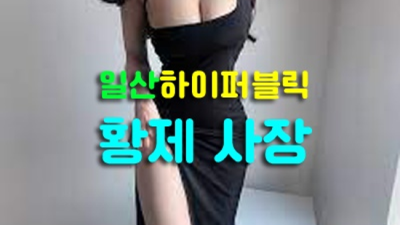 일산퍼블릭 편안함을주는 프로 웨이터 후회없는선택입니다 일산퍼블릭 일산룸사롱