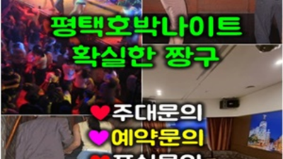 평택호박나이트 애교쟁이 일등영업진 내상없는 시간 약속드립니다 평택호박 평택텐카페
