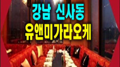 유앤미가라오케 소홀함이 없는 1등웨이터 상상이 현실이 되는곳 신사동유앤미 신사동룸살롱