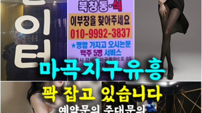 마곡북창동식룸 감동을 주는 일등영업진 탁월한선택이 될겁니다 발산동골든타워 발산동쩜오