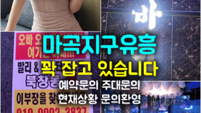 마곡뉴골든타워 인간성좋은 밤도깨비 기회를 한번 주세요 마곡하이퍼블릭 오늘밤어디가