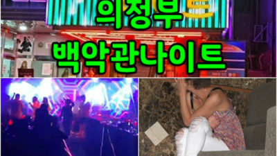 의정부백악관나이트 믿을만한 에너자이저 제대로 된 서비스로 모실께요 의정부한국관나이트 의정부룸쌀롱