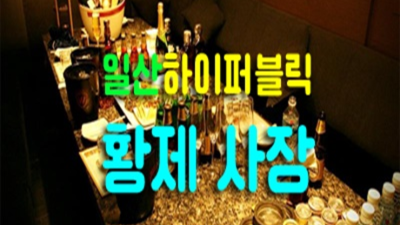 일산보스룸 확실한 Waiter 꼭한번찾으세요 일산가라오케후기 일산술집