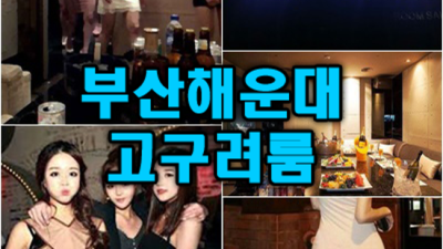 해운대고구려 착한주대 Best of Best 호기심이 가득한 그녀들이 있는곳! 해운대고구려 주대 부비주소
