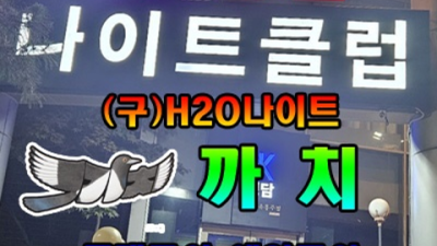 청담나이트h2o 좋은 최고웨이터 강남나이트혼자 꼭찾으세요 선릉텐카페