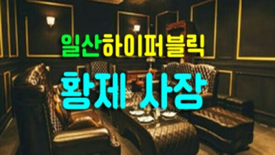 일산하이퍼브릭가라오케 한치의 소홀함이 없는 밤도깨비 최고가 아닌 최선을 다할께요 일산가라오케후기 일산룸사롱