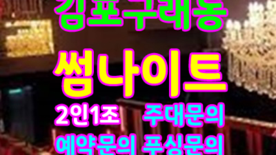 김포썸나이트 정답은 최고영업진 알아서 잘 모실께요 김포클럽 구래동텐카페