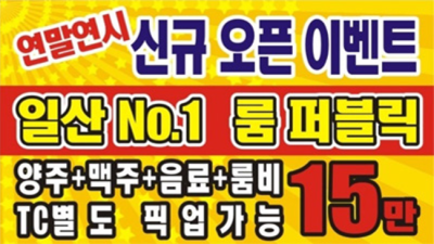 일산룸 오픈하는 사람 최고가 아닌 최선을 다할께요 일산술집 일산여알바