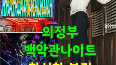 의정부백악관 인간성좋은 Best of Best 인연을 소중하게 생각하겠습니다 한국관나이트 의정부룸쌀롱