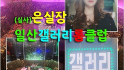 일산갤러리룸 최저가 일등영업진 내상없는 시간 약속드립니다 일산야구장 일산라운지바