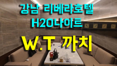 청담h2o나이트 자신있는 SM 기억에 남는 추억의 밤을 만들어 드립니다 강남h2o나이트 주대 청담하이퍼블릭룸