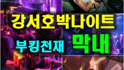 강서나이트 자신있는 Waiter 기억에 남는 추억의 밤을 만들어 드립니다 강서호박나이트 가격 강서구퍼블릭