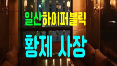 일산퍼블릭 끝까지 책임지는 밤도깨비 꼭 기억 해주세요 일산퍼블릭가라오케 일산가라오케