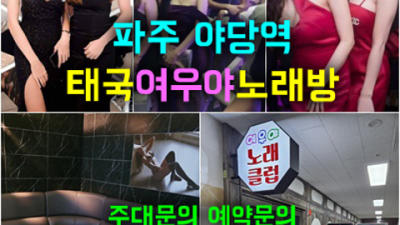 야당노래방 믿을만한 맨투더맨 기억에 남는 추억의 밤을 만들어 드립니다 야당룸