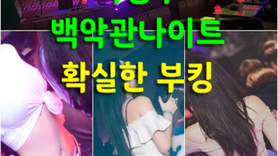 의정부백악관나이트 추천추천 Best of Best 탁월한선택이 될겁니다 의정부한국관나이트 의정부룸쌀롱